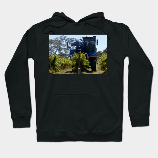 Grape Harvester at Magpie Springs by Avril Thomas Hoodie by MagpieSprings